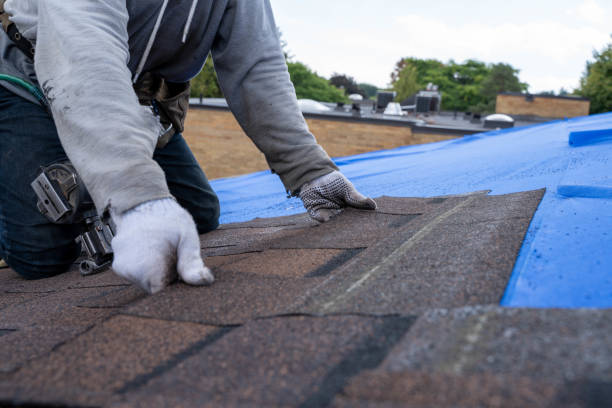 Best Commercial Roofing Services  in Hayfork, CA